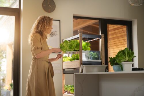 Mit diesem vollautomatischen Kasten von Click and Grow ist es möglich, sich komplett selbst mit gesunden Kräutern und Salat zu versorgen. Die Kästen lassen sich erweitern und als vertikalen Garten übereinanderstellen.